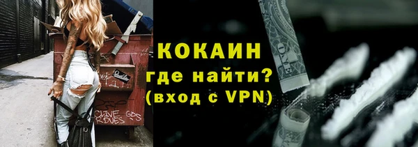 молекула духа Алексин