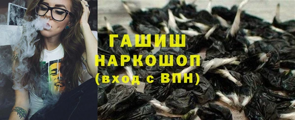 молекула духа Алексин