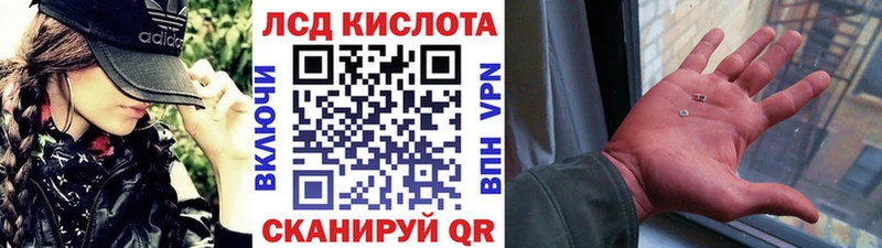 купить   Анадырь  Марки NBOMe 1,5мг 